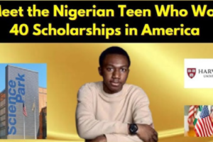 THE NIGERIAN EXCELLENCE STORY