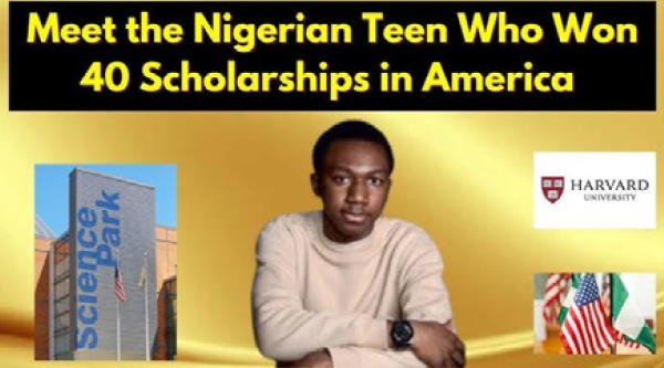 THE NIGERIAN EXCELLENCE STORY